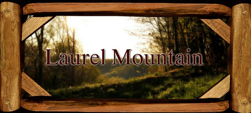Laurel Mountain Farm - Home