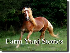 Farm Yard Stories